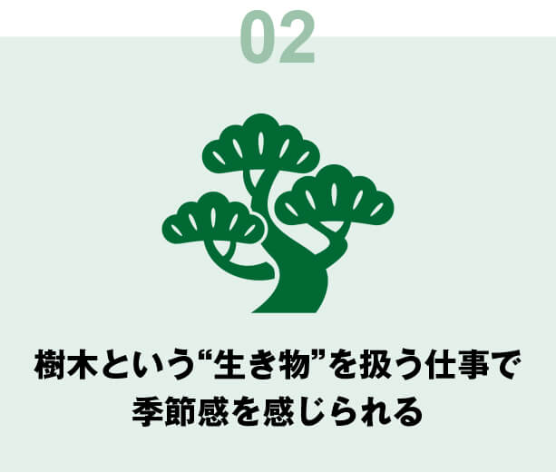 樹木という“生き物”を扱う仕事で季節感を感じられる